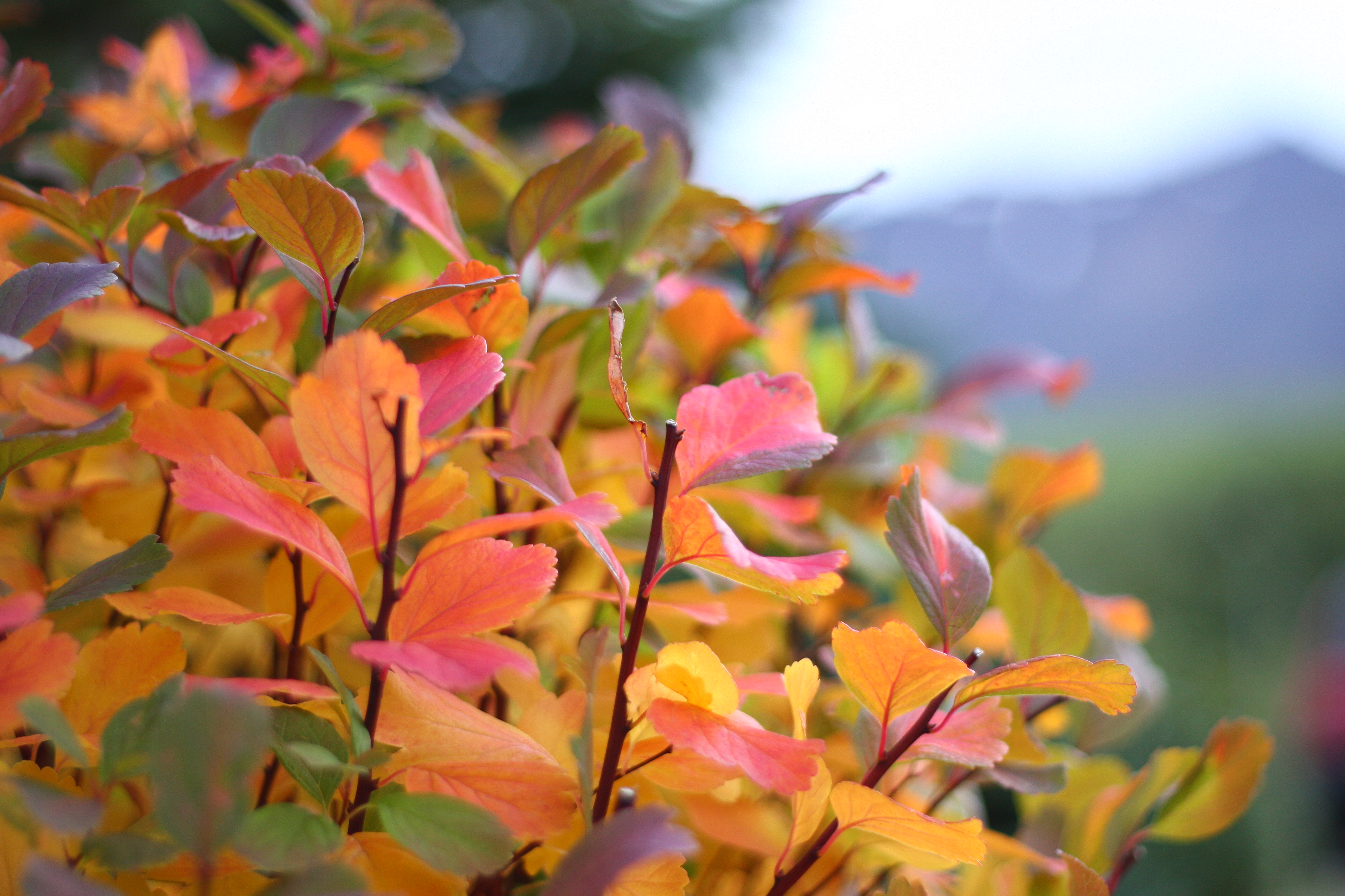 /static/themes/2018/images/placeholder.png/