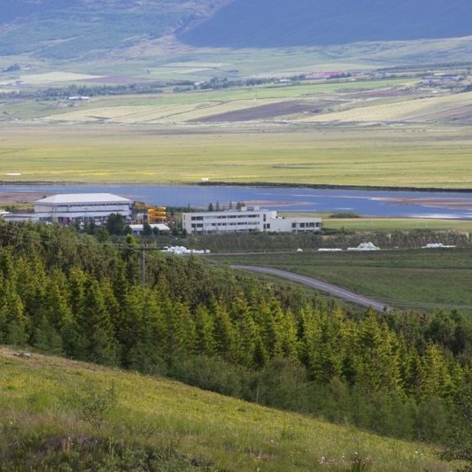 sumarmyndir30