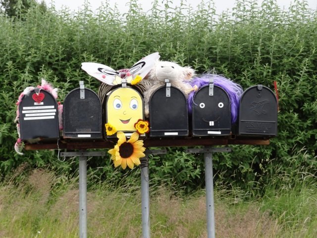 Öngulsstaðir og Borg