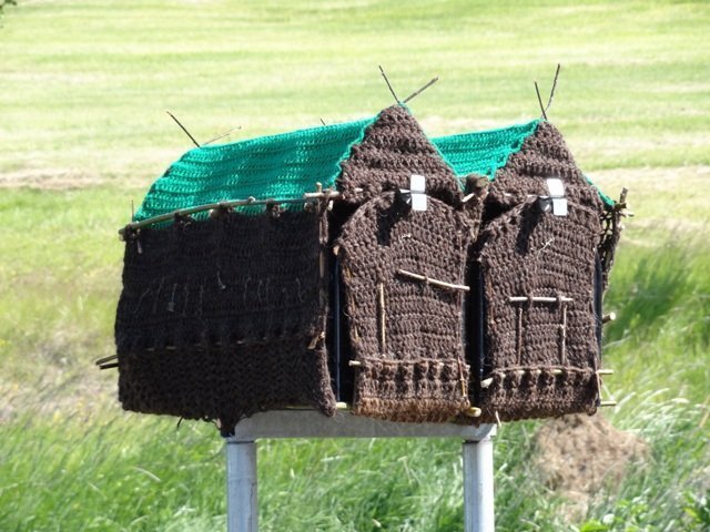 Þórustaðir 1 og 1a