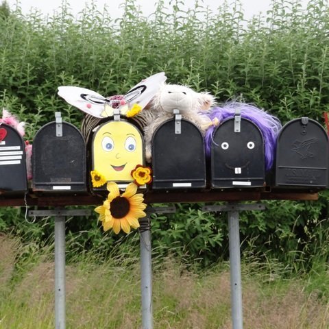 ongulsstadir_og_borg