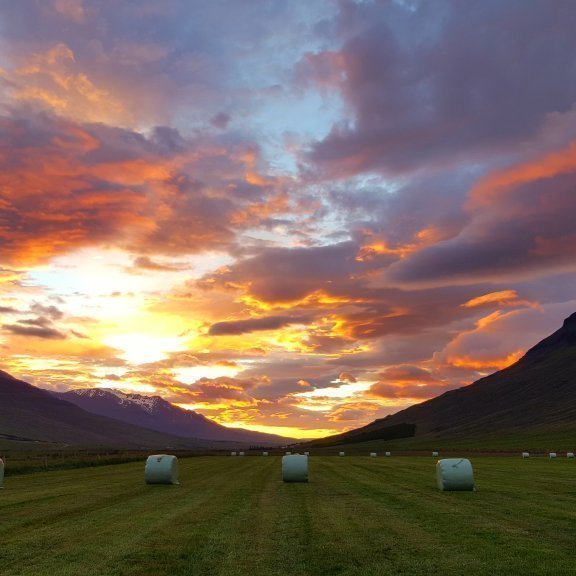 Fallegt sumarkvöld í Eyjafjarðarsveit þar sem líta má miðnætursólina á fallegum nýslegnum túnum sveitarinnar