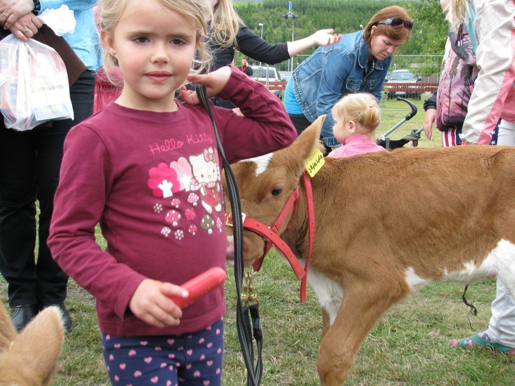 Kálfasýning - Anna Guðlaug Gunnbjörnsdóttir