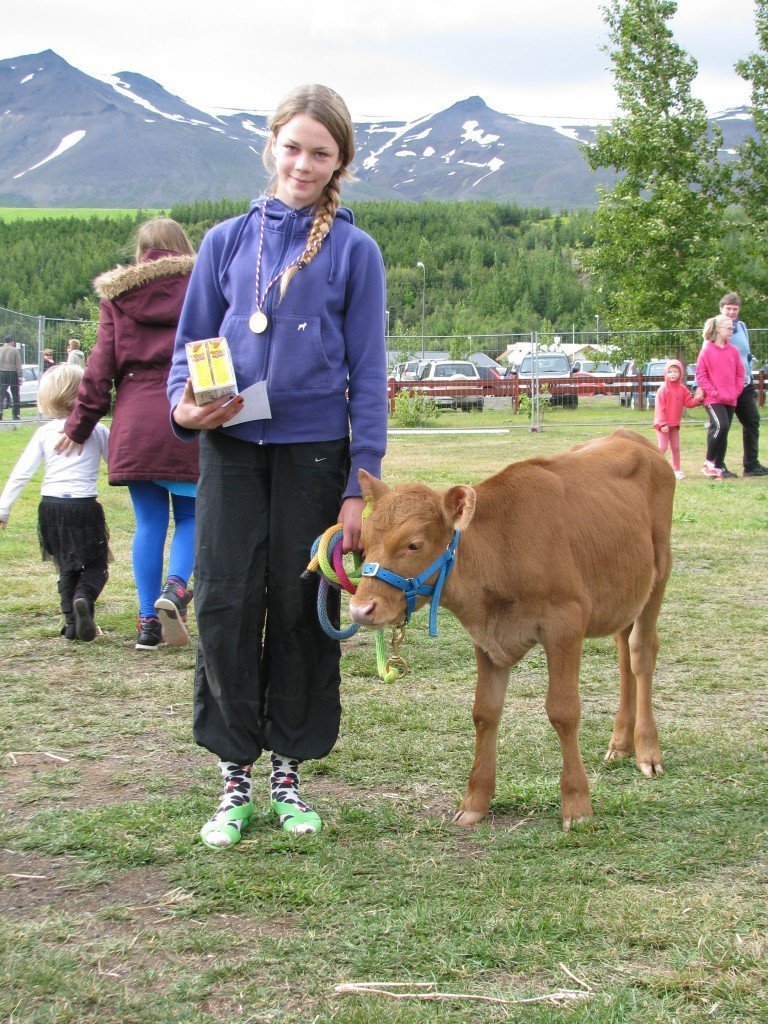 Best tamdi kálfurinn