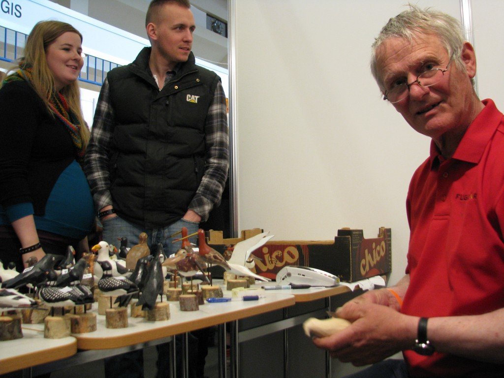 Jón Ólafsson - Íslenskir fuglar