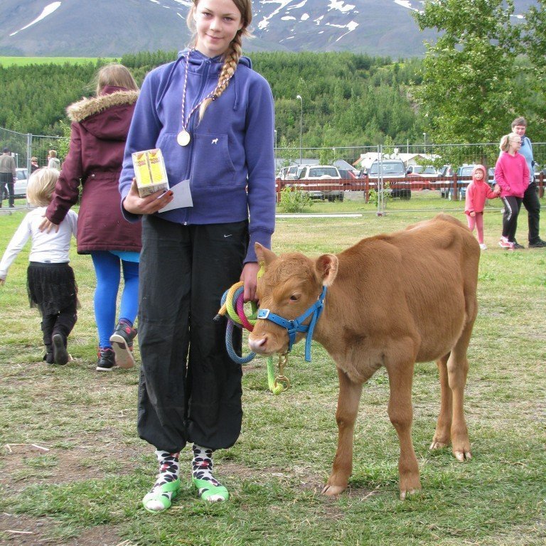 Gunnhildur Erla með kálfinn Unu frá Rifkelsstöðum
