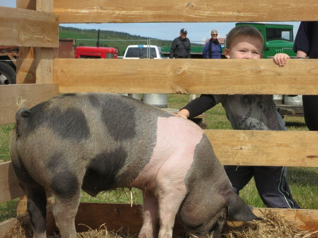 Húsdýrasýning Félags ungra bænda á Norðurlandi