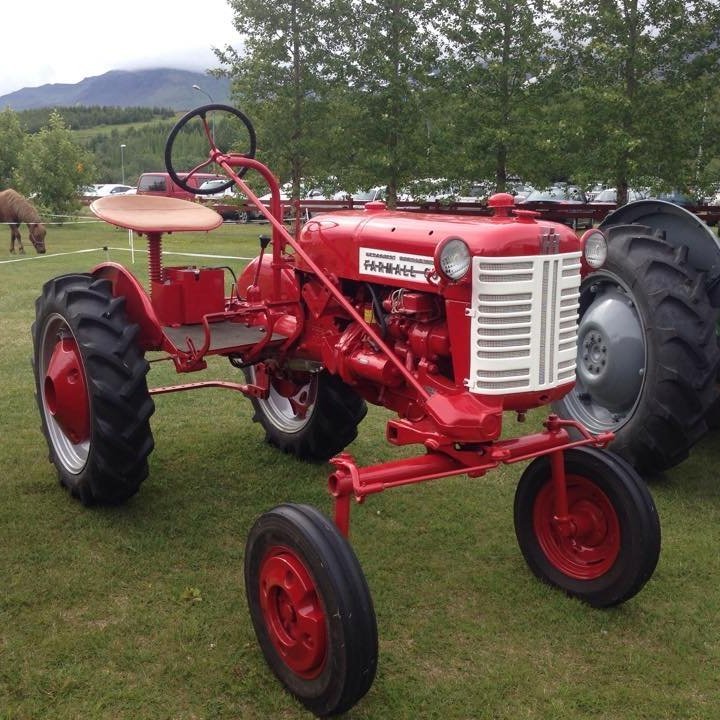 11853890_10206352414802502_1404082790_n