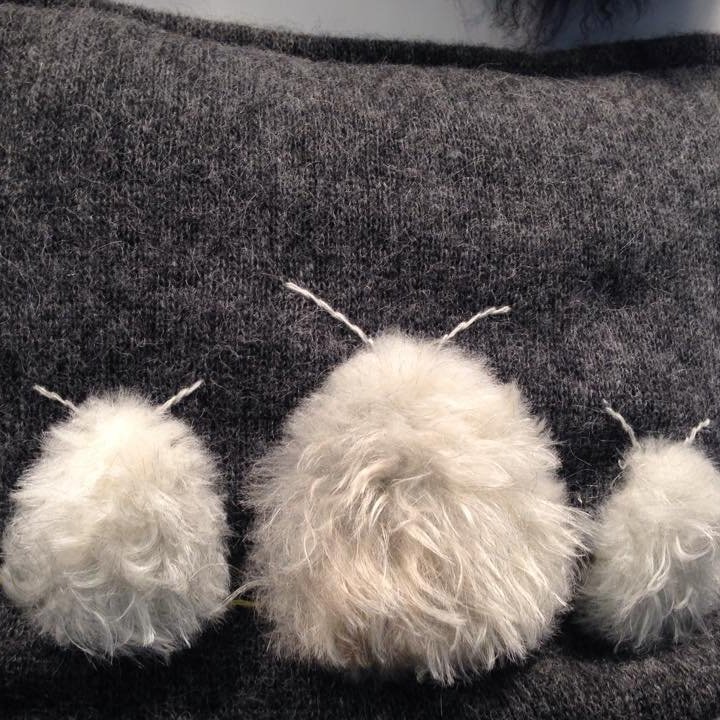 11854094_10206359439058104_2015698391_n