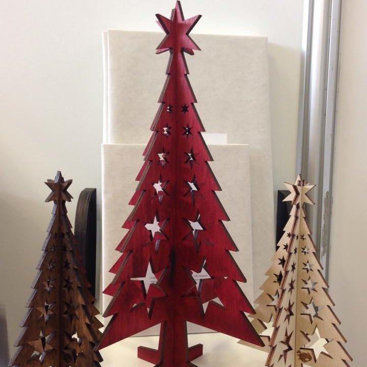 11874195_10206359439418113_113915262_n