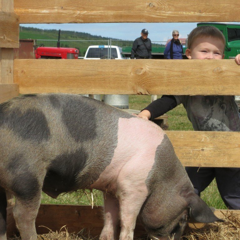 handverksh-t-2015-h-sd-ras-ning