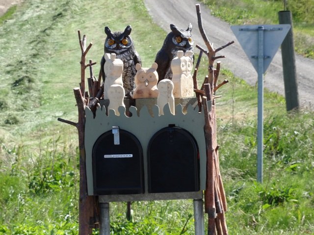 Álfabrekka og Hóll