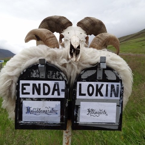 halldorsstadir_holsgerdi