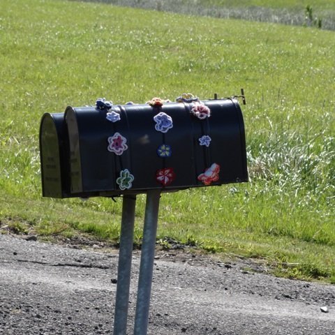 sydrivardgja_brekkulaekur