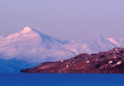 Starf skipulagsfulltrúa