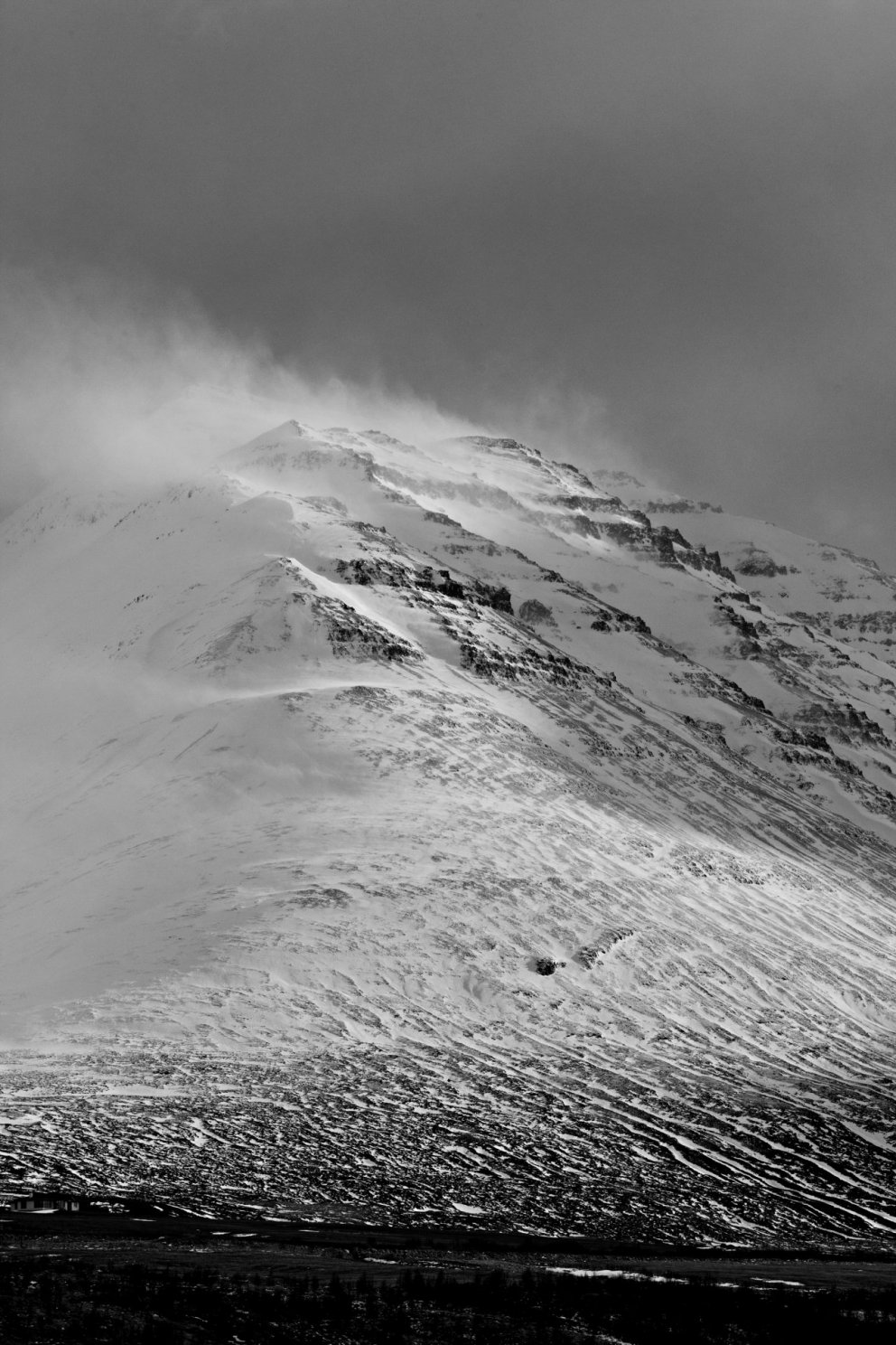 Upplýsingar um sorphirðu