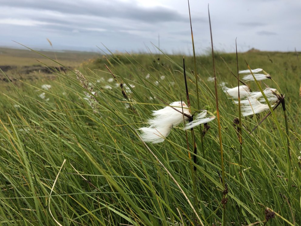 Kort­lagn­ing rækt­un­ar­lands - til­gátu­vefsjá opn­uð