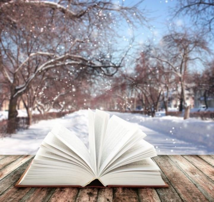 Myndin var fengin af þessari síðu https://www.sweetwaternow.com/snow-is-falling-books-are-calling/