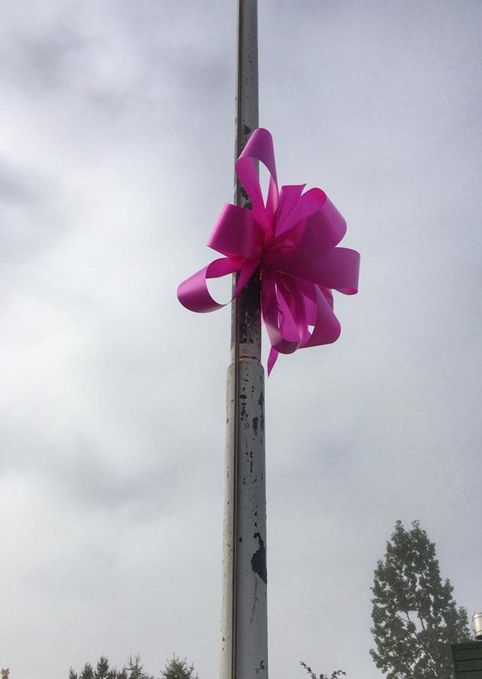 Bleikar slaufur í október