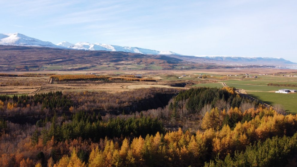 Birkifræsöfnun í Garðsárreit 22. september