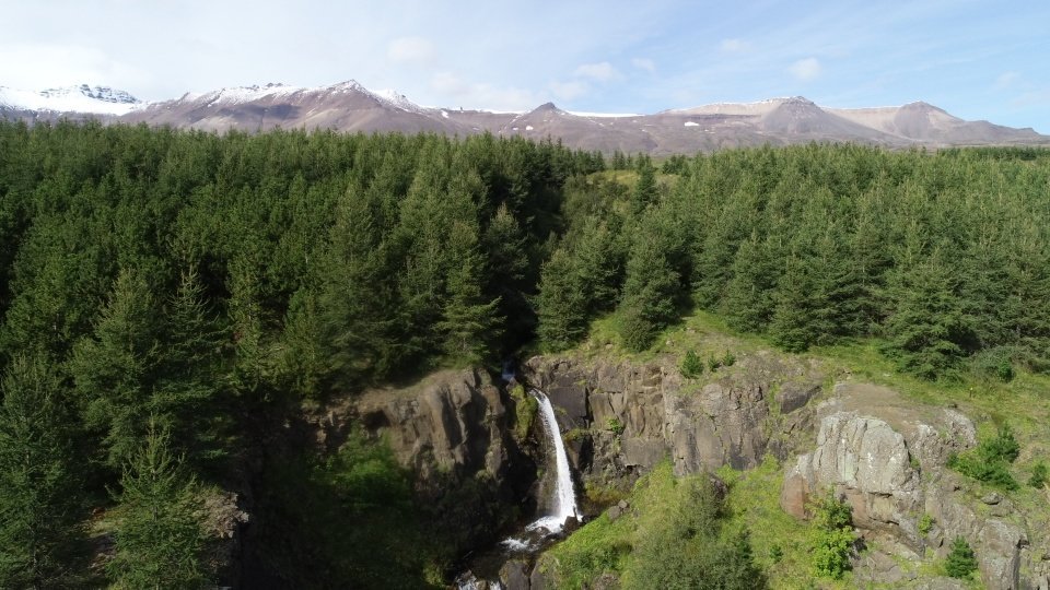 Aldísarlundur í Eyjafjarðarsveit 2020