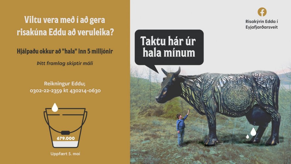 Risakýrin Edda í Eyjafjarðarsveit