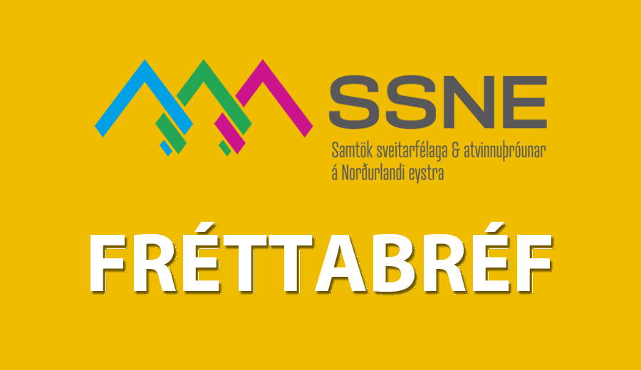 SSNE - Fréttabréf nóvembermánaðar er komið út