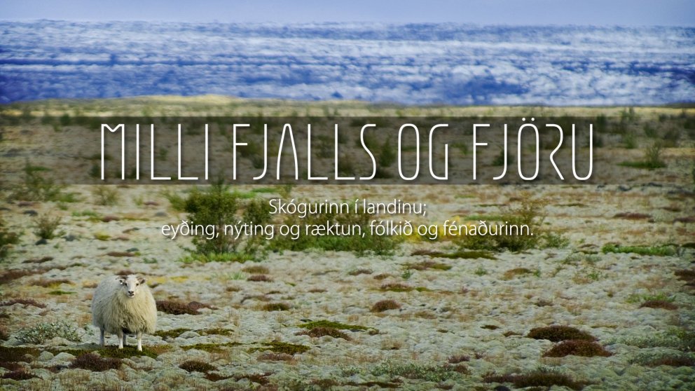 Sýning á heimildamyndinni Milli fjalls og fjöru