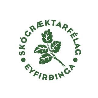 Líf í lundi helgina 25. og 26. júní