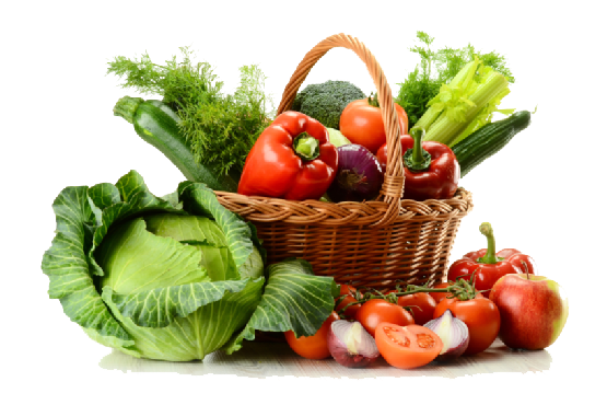 Matjurtir í vannýtt land