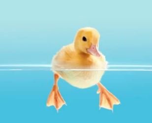 Páskaopnun í Íþróttamiðstöðinni