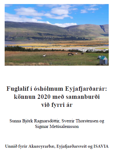 Fuglalíf í Óshólmum - skýrsla