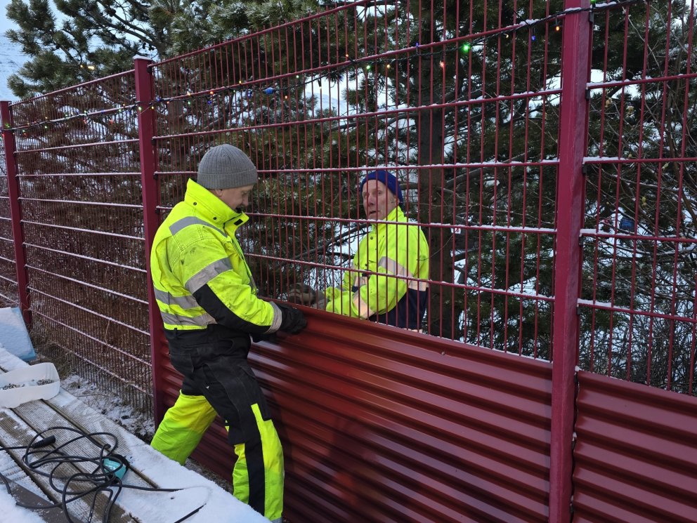Skjólveggur settur upp á vestur- og suðurhliðar sundlaugargarðsins