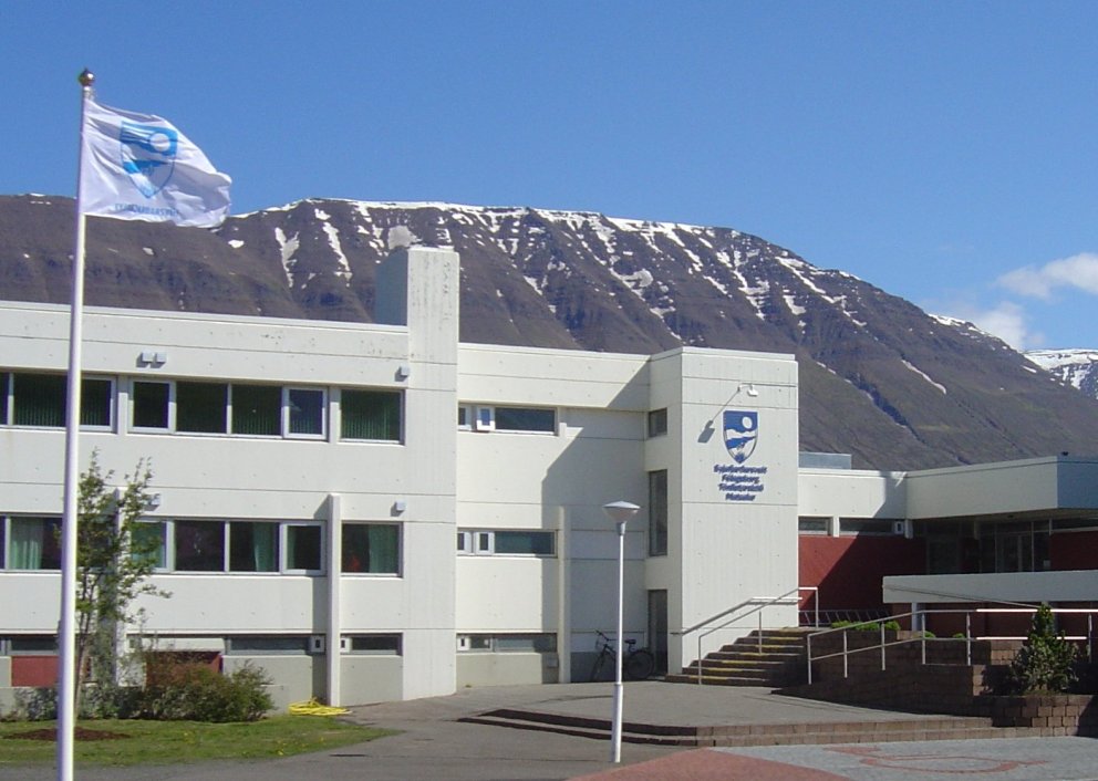 Forsetakosningar laugardaginn 27. júní 2020