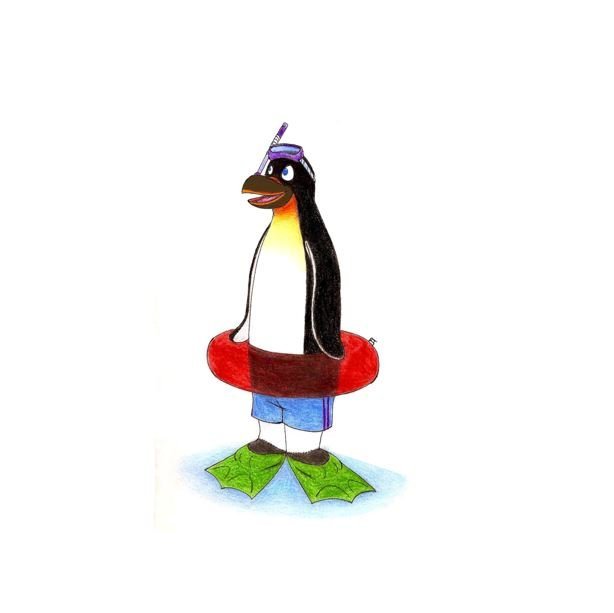 Jólaopnun í Íþróttamiðstöðinni